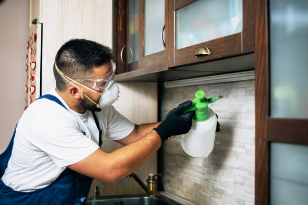 Best Pest Removal Services  in San Rlos, CA