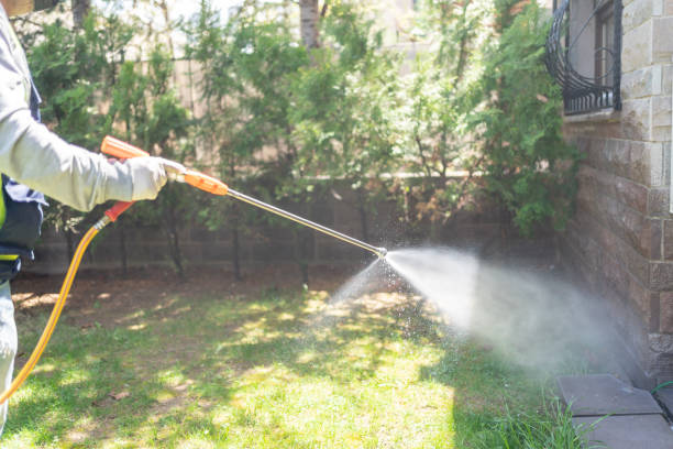 Best Pest Control Near Me  in San Rlos, CA