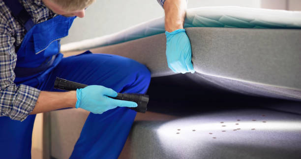 Best Mosquito Control Services  in San Rlos, CA