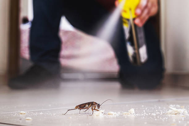  San Rlos, CA Pest Control Pros