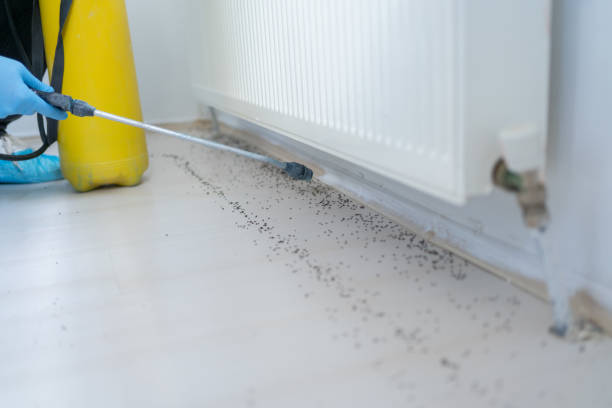 Best Pest Prevention Services  in San Rlos, CA