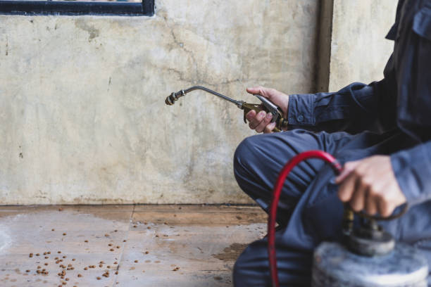 Best Emergency Pest Control  in San Rlos, CA