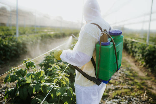 Best Mosquito Control Services  in San Rlos, CA